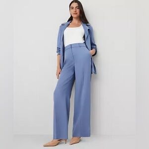 Ann Taylor Women's Light Blue Trousers